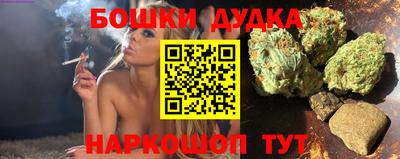 сатива Аргун