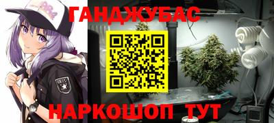 сатива Аргун