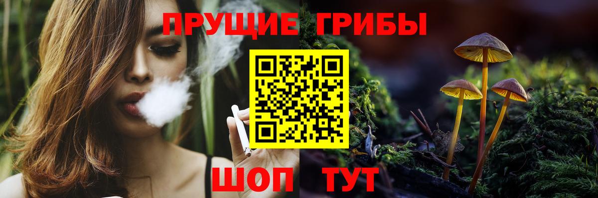 Галлюциногенные грибы GOLDEN TEACHER  Вход с VPN  Псилоцибиновые грибы прущие грибы  Балабаново 